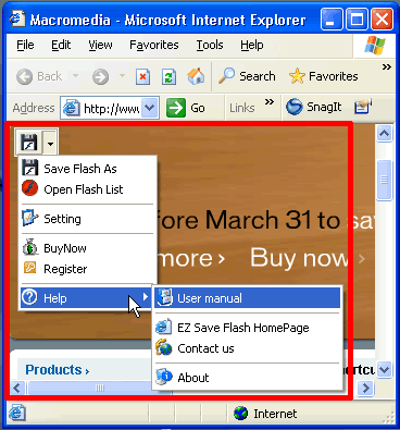 EZ Save Flash Screenshot